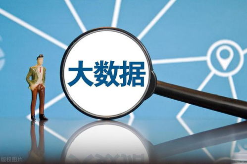 網(wǎng)絡(luò)安全軟件國(guó)產(chǎn)化 大數(shù)據(jù)時(shí)代下，八朵“金花”如何引領(lǐng)風(fēng)潮